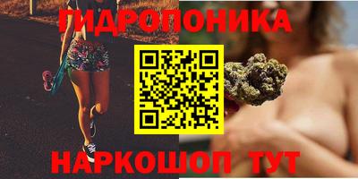 прущие крисы Канаш
