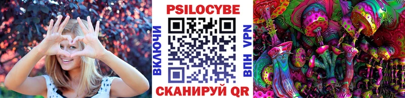 Галлюциногенные грибы Psilocybine cubensis  Сланцы 