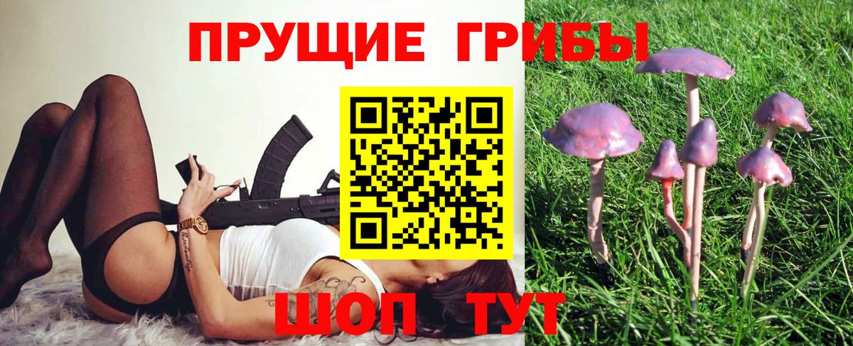 Псилоцибиновые грибы Psilocybine cubensis Сланцы