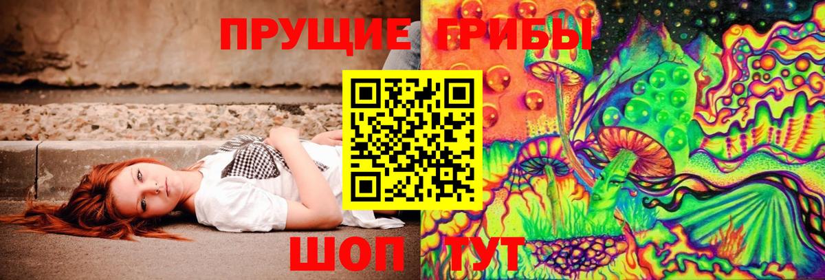 Галлюциногенные грибы Cubensis  Псилоцибиновые грибы ЛСД  Вход с VPN  Сланцы 